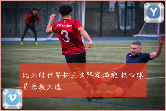 比利时世界杯主力阵容揭晓 核心球员悉数入选